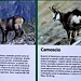 Alcuni pannelli didattici a cura del Dipartimento del territorio ticinese e dell'Ufficio federale dell'ambiente recano le caratteristiche principali della fauna presente in valle.