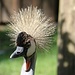 Noch ein Tipp für nach der Tour: der Zoo in Ebbs, klein aber fein
