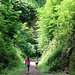 hinein in die Schlucht