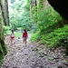 in der Wolfsschlucht