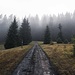 Regenwetter und matschige Wege hinauf zur Alp Tannstofel