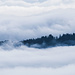 Nebelmeer