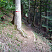 Nämlich mit dem Bike mal unter der Woche die vielen Single Trails am Bürgenstock aufzusuchen.