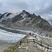 Panorama-Foto an der Schreckhornhütte