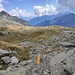 sul sentiero di ritorno