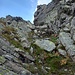 Canalino erboso