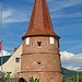Schelmenturm in Ammerschwihr<br /><br />Der Schelmenturm (frz. Tour des fripons), auch als Turm der Diebe (frz. Tour des voleurs) bezeichnet, in Ammerschwihr, einer französischen Gemeinde im Département Haut-Rhin in der Region Grand Est, wurde um 1367 errichtet und 1535 verändert. Der runde Wehrturm an der Grand Rue Ecke Route du Vin wurde im Jahr 1931 als Monument historique in die Liste der denkmalgeschützten Bauwerke (Base Mérimée) in Frankreich aufgenommen.<br />Quelle: Wikipedia