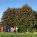 Gruppenfoto bei der riesigen, blühenden Stechpalme