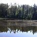 Grieselův rybník, Teich