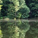 Grieselův rybník, Spiegelung