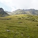Blick zurück zum Passo dell'Arasè: Ein schöner Wiesenweg führt über die Alp