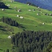 Streusiedlungen gibt es nicht nur in Appenzell