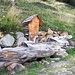<b>Fontana de La Tea da Rin.</b>