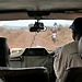 Aussicht im Jeep (Teil 1)