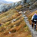 Sentiero in Val Orsera