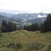 Blick zur Winterstaude