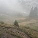 Blick vom Falken zur Alpe