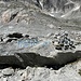 Nepali Highway