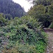 Deviazione verso la Val de Vai 