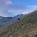 Malga di Saval e sullo sfondo il monte Tomeabrù