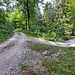 Innesto sul sentiero naturalistico di fondo valle