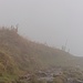 Weiter oben gab es für kurze Zeit dicke Nebel.