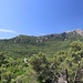 viel Grün