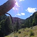 Sull'Alpe Isornia