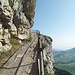 Ausgesetzt, aber eingezäunt geht's nun weiter zum...