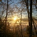 Imebärg: Die aufgehende Sonne verwandelt den Winterwald in einen Märchenwald. Foto vom Imebärgacker.