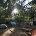 Morgengrauen im Big Tree Camp - idyllisch!
