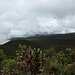 unendliche Weiten am Kilimanjaro Massiv