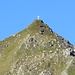 Mauskarkopf im Zoom