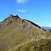 Guldergrat mit Stock & Turm (alles was dazu gehört)
