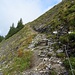 Versicherte Stelle am Kitzstein