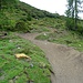 Der Biketrail hinter der Kleinarler Hütte