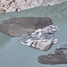 Abgebrochenes Eisstück der Eisgrotte mit Vlies schwimmt auf dem Gletschersee. Die Walliser Umweltorganisationen fordern zurecht einen vollständigen Rückbau der Vliesbahnen, bevor diese die Rhone runtergespült werden.  