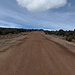 mitten im Nirgendwo auf dem Shira Plateau trifft man dann auf eine (Versorgungs-)Straße - die allerdings von manchen Touris auch zum "Skippen" der unteren Teile des Kilis genutzt wird - na dann frohe Kopfschmerzen!