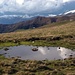 Bolla nei pressi di Sant'Amate, sullo sfondo: l'Alpe Nesdale