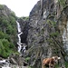 Links neben der Kuh: Der erste Wasserfall des Tages.