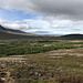 Rückblick über den Wald gen Skagarfjördur.
