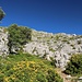 wunderbarer Aufstieg zum Puig dèn Galileu