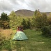 Schöner Campingplatz direkt im Wald, dahinter der Rücken des Holabyrda.