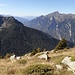 Orizzonti lontani