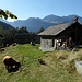 Sono tornato, verso la fine del giorno, in compagnia della mia "sconfitta"!