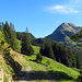 hier bin ich auf dem Weg zur Alp Hinderhorn