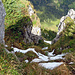 Tiefblick auf der Gmeinenwishöchi die Nordseite hinunter