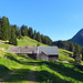 schöner Weg zur Alp Hinderhorn, - das ist aber eine andere Alp, evt. vorder Alp Hinderhorn