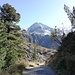 Rückblick auf den Aperen Freiger beim Abstieg von der Sulzenaualm.