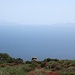 Blick über die Case Romane zu den Inseln Levanzo und Favignana, ganz hinten erkennt man den Monte Erice auf Sizilien.